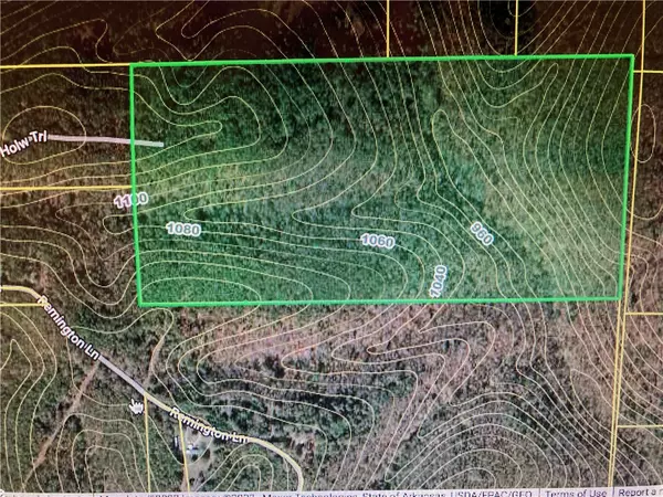 550 Hillbilly Hollow Trl, Pyatt, AR 72672