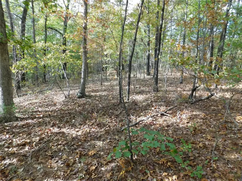 E 74, Tract 3 Hwy, Jasper, AR 72641