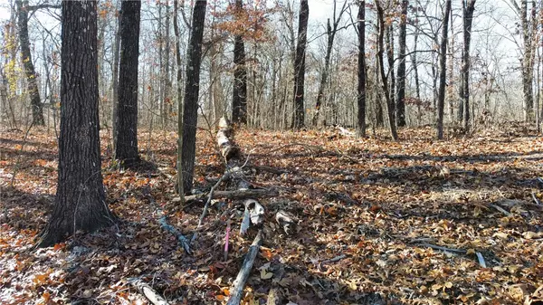 Bella Vista, AR 72714,Claxton Dr