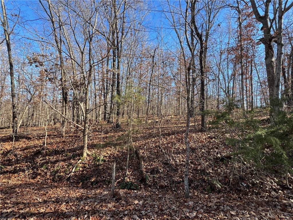 Bella Vista, AR 72714,Kent Ln