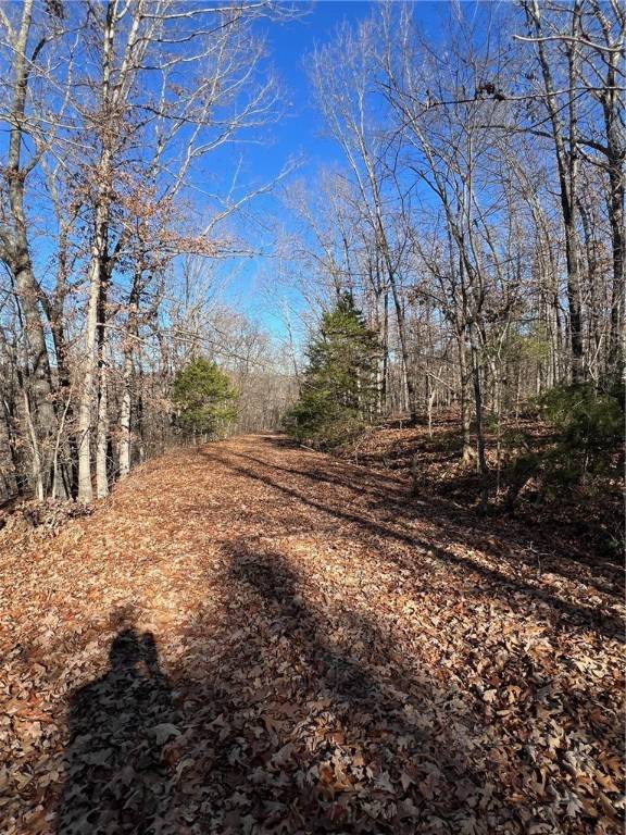 Bella Vista, AR 72714,Kent Ln