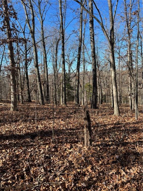 Kent Ln, Bella Vista, AR 72714