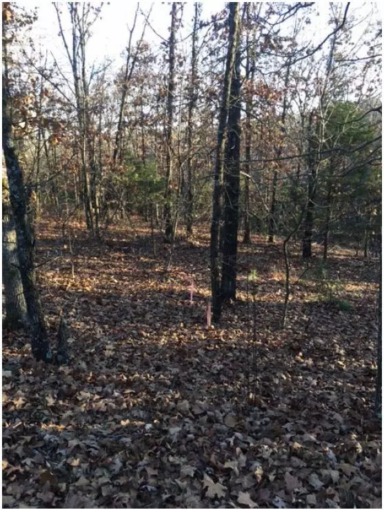 Lot 1 Aberdeen Dr, Bella Vista, AR 72715