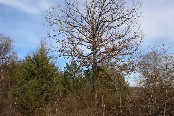 Yellville, AR 72687,127-00029-000 MC 8096