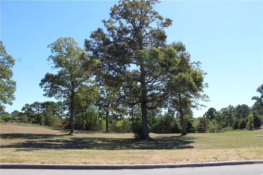 32 Park Dr, Holiday Island, AR 72631