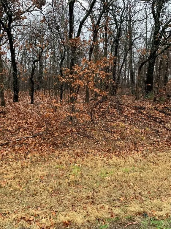 Locust Grove, OK 74352,E 578 Rd