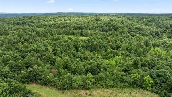Noel, MO 64854,128 Acres Styles Rd