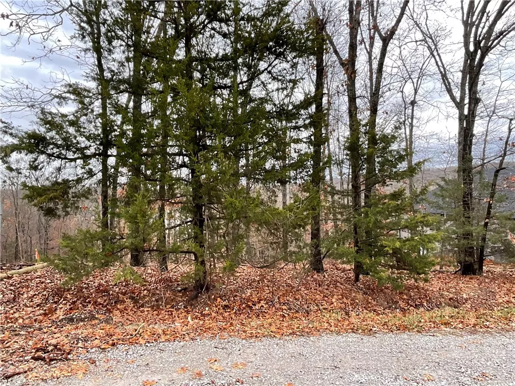 Bella Vista, AR 72714,Pickering Dr