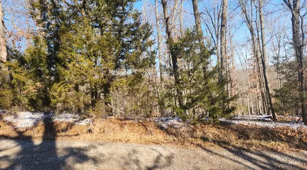 Bella Vista, AR 72714,Pickering Dr