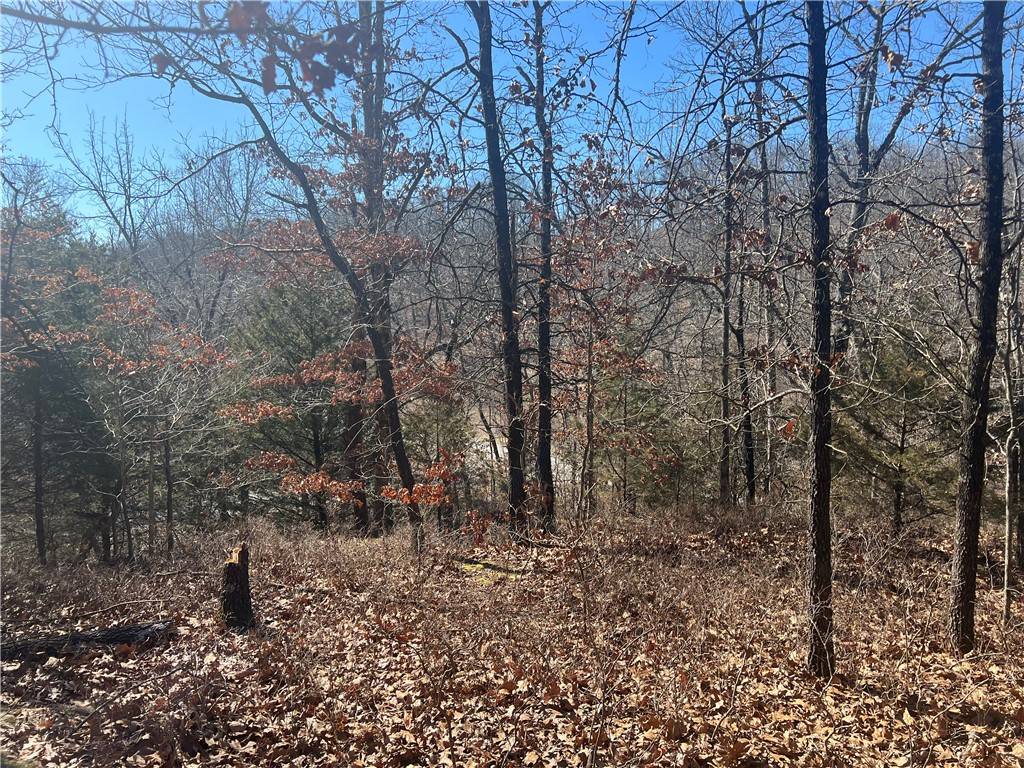 Little Borough Ln, Bella Vista, AR 72715