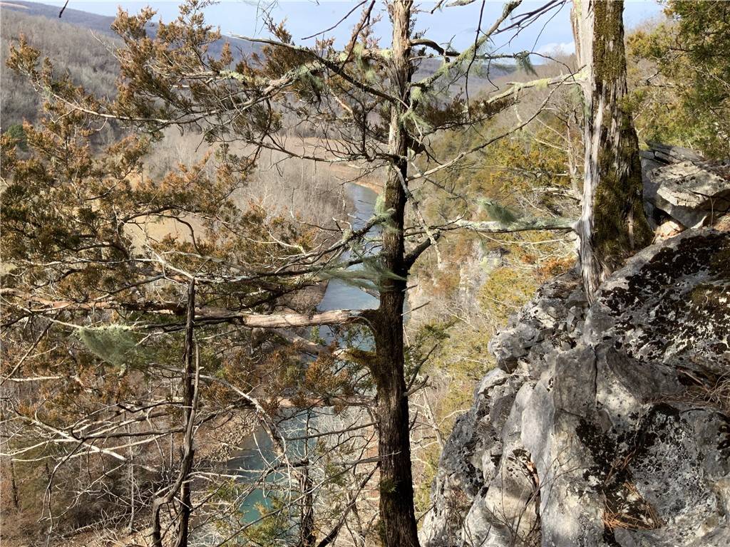 Parthenon, AR 72666,Murray Rd
