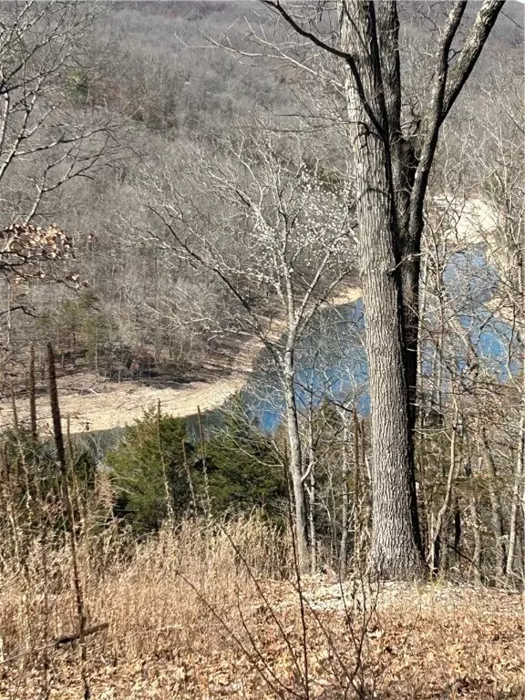 Garfield, AR 72732,Highland Lake Dr