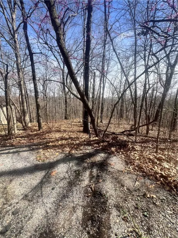 Bella Vista, AR 72714,Bobwith Ln