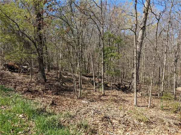 Bella Vista, AR 72715,Lot 6 Chelsea Ln