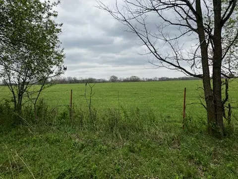 19260 Leo Shook Dr, Decatur, AR 72722