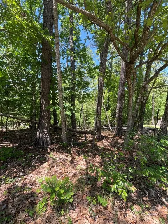Overton Dr, Bella Vista, AR 72714