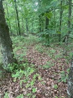 Bella Vista, AR 72715,Forfar Dr