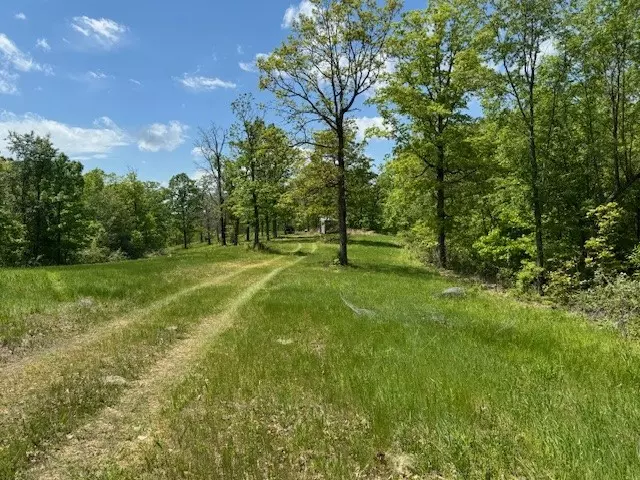 Tract 3 & 4 Hwy 90, Noel, MO 64854