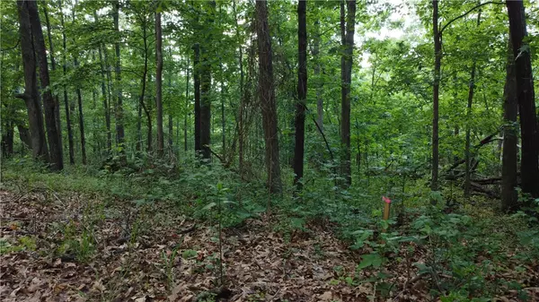 Bella Vista, AR 72715,Linfield Ln