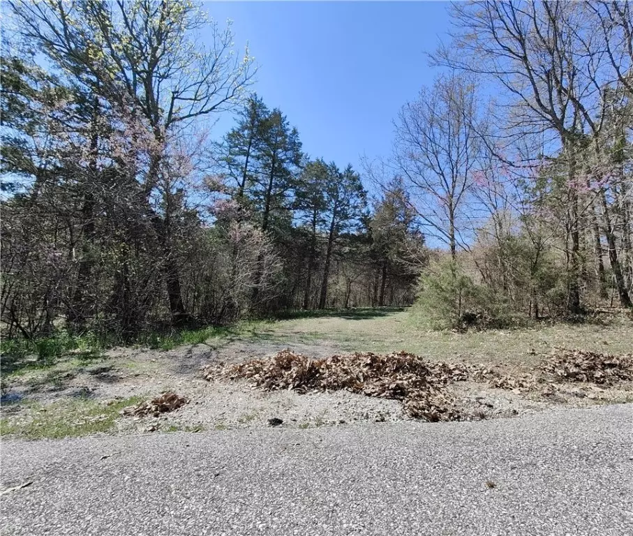 Eureka Springs, AR 72631,56 Eagle Dr