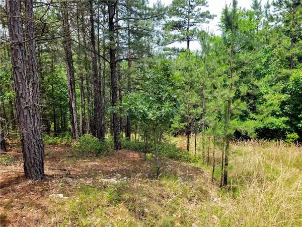 Eureka Springs, AR 72632,000 TBD CR 1525