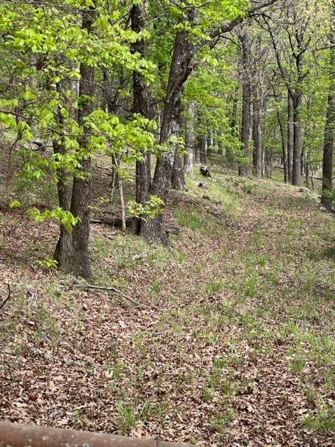 West Fork, AR 72774,15110 Low Gap Rd