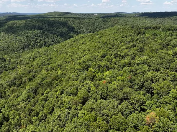 Deer, AR 72628,TBD 8872