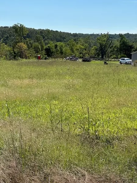 1635 Marion County 4010, Yellville, AR 72687