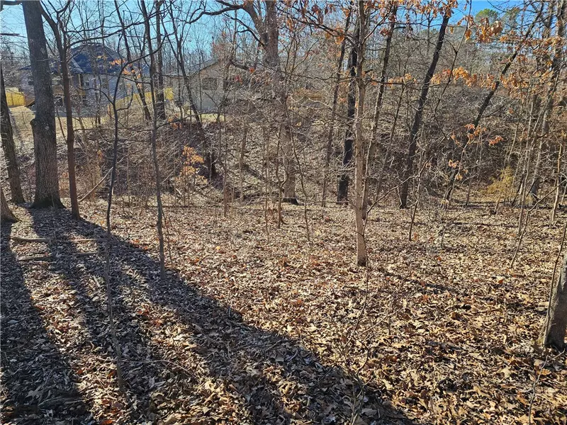 Lot 6, Block 2 Baltasound Ln, Bella Vista, AR 72715