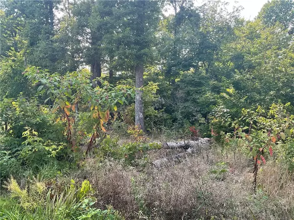 Bella Vista, AR 72715,TBD Birsay Cir
