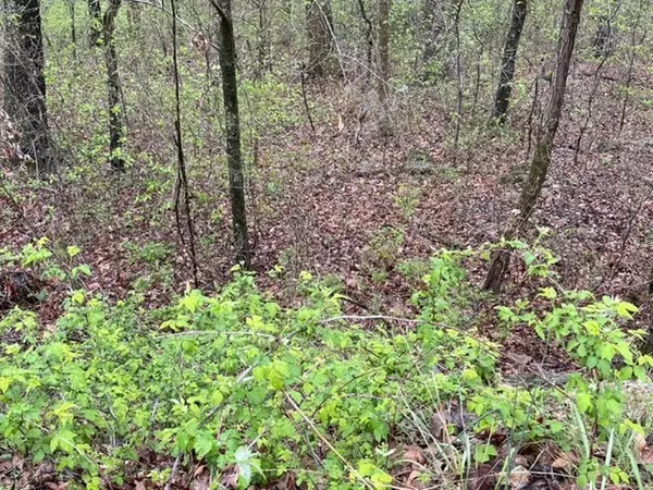 Holiday Island, AR 72631,12 Cove Ln