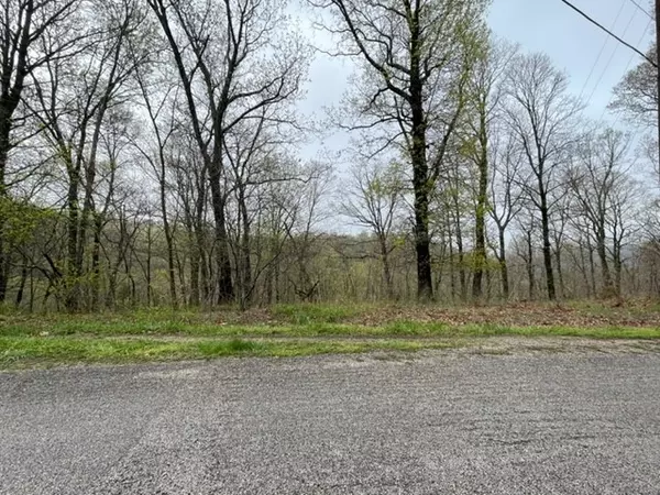 Eureka Springs, AR 72631,68 Summit Dr