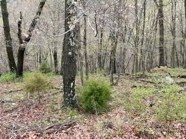Holiday Island, AR 72631,14 Serenity Ln