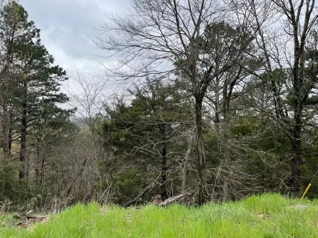 Holiday Island, AR 72631,30 Rancho Vista Ln