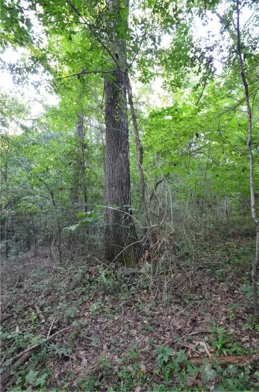 Fayetteville, AR 72703,17746 Driftwood