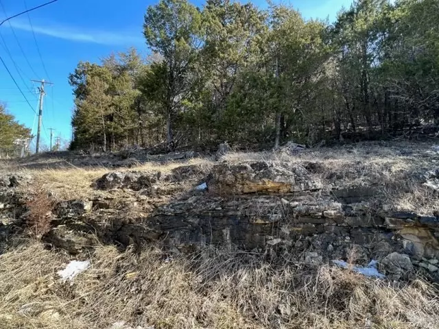 Holiday Island, AR 72631,9 Quail Run Dr
