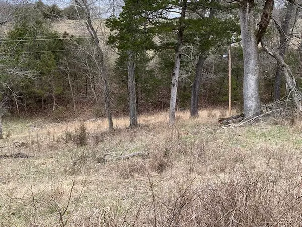Holiday Island, AR 72631,41 Horseshoe Dr