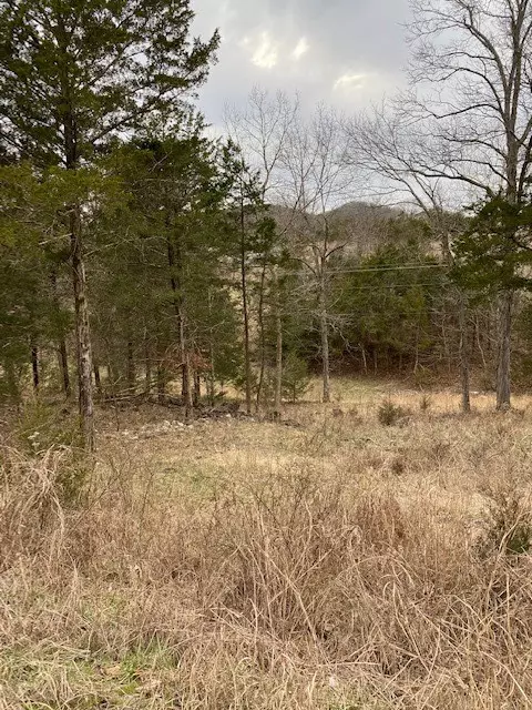 Holiday Island, AR 72631,41 Horseshoe Dr