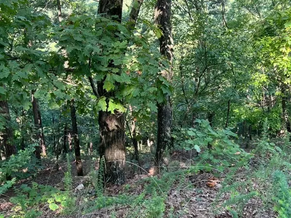 Holiday Island, AR 72631,33 Thunderbird Dr