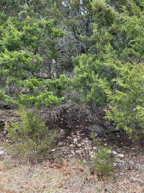 Holiday Island, AR 72631,112 Appaloosa Dr