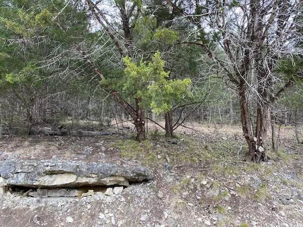 Holiday Island, AR 72631,108 Appaloosa Dr
