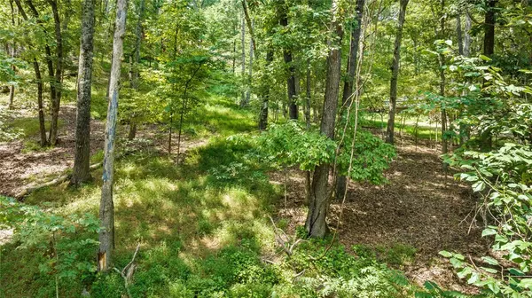 Garfield, AR 72732,Lot 26 Dogwood Dr