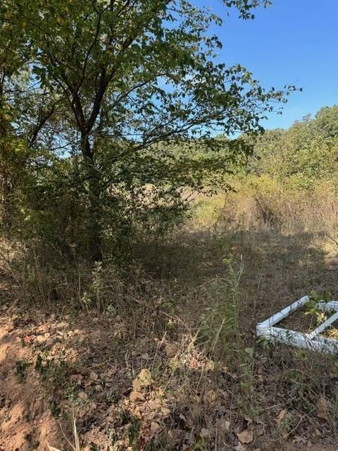 Gentry, AR 72734,Floyd Moore Rd