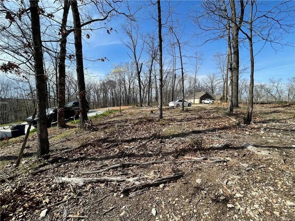 Bella Vista, AR 72715,Hutchinson Ln