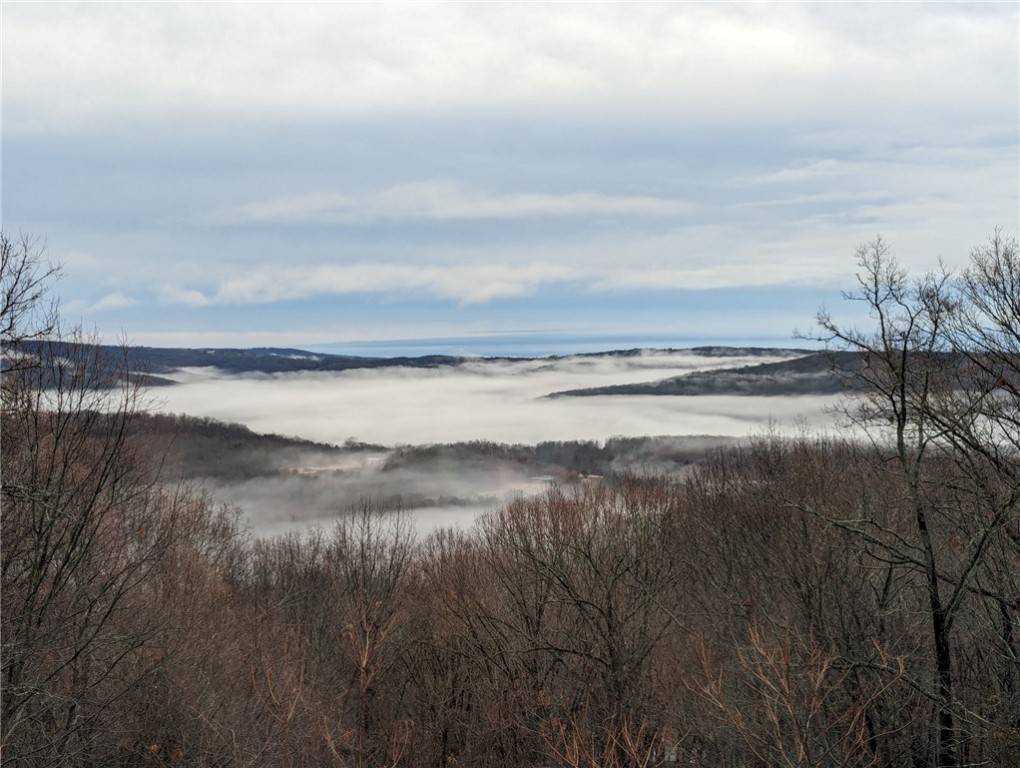 Mountainburg, AR 72946,TBD Locust Mountain Rd