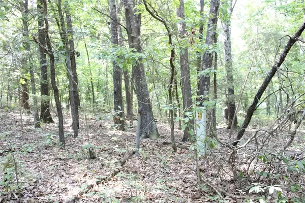 Bella Vista, AR 72715,Welland Ln