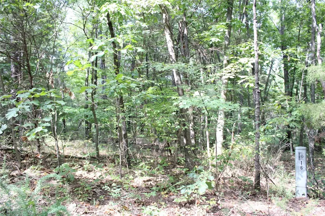 Bella Vista, AR 72715,Welland Ln