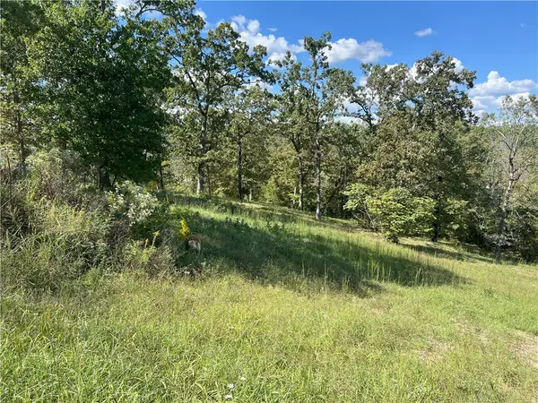 Omaha, AR 72662,000 Ledge Rock Ln #Lot 7