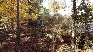 Bella Vista, AR 72714,Plumpton Ln