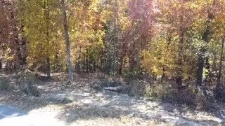 Bella Vista, AR 72714,Plumpton Ln